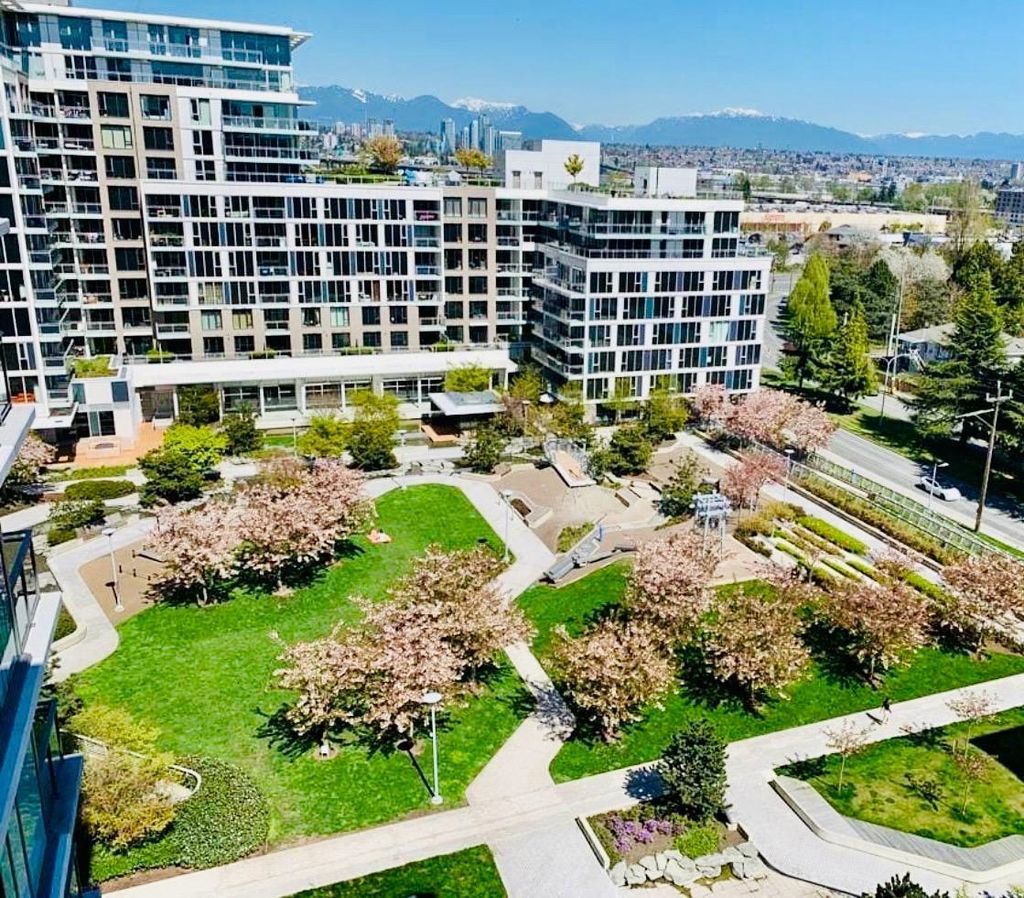 listing image 1100026358194005282