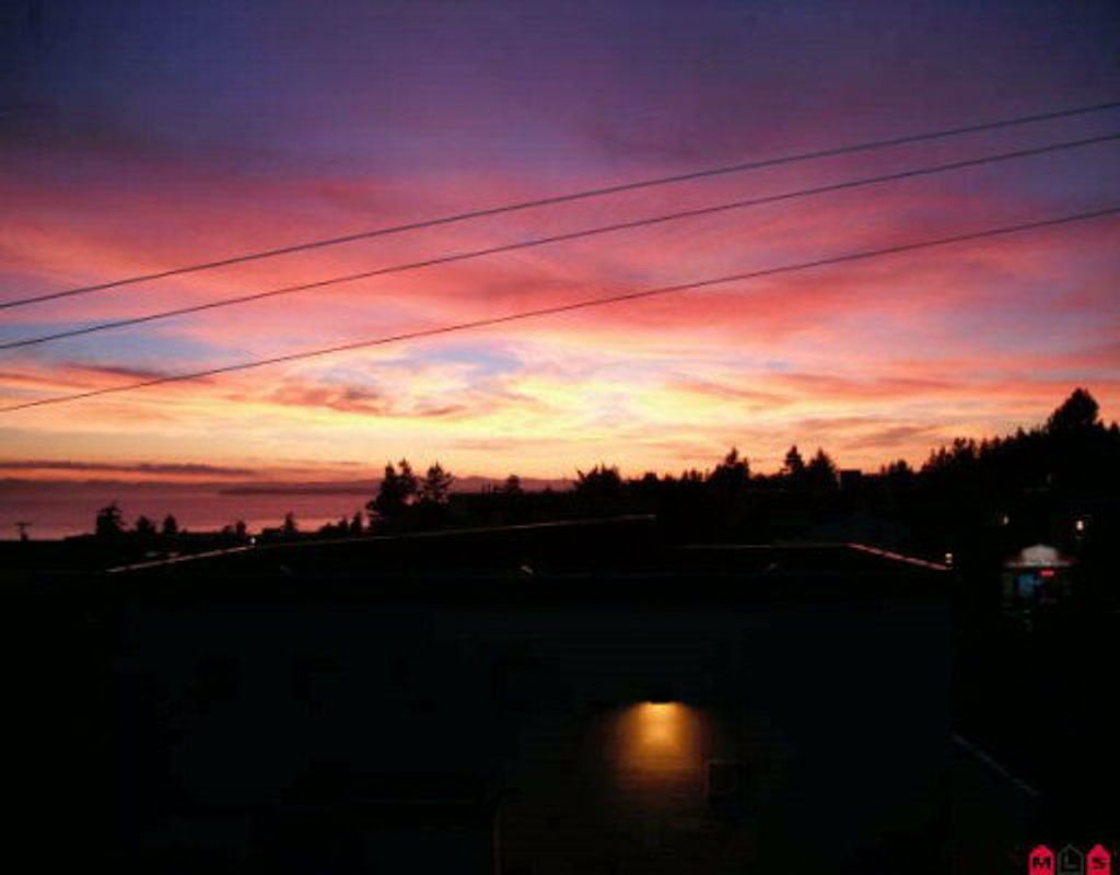 listing image 1101298680524590385