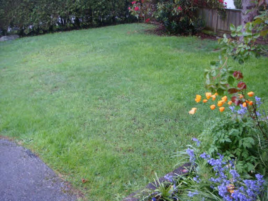 listing image 1100329244567459424
