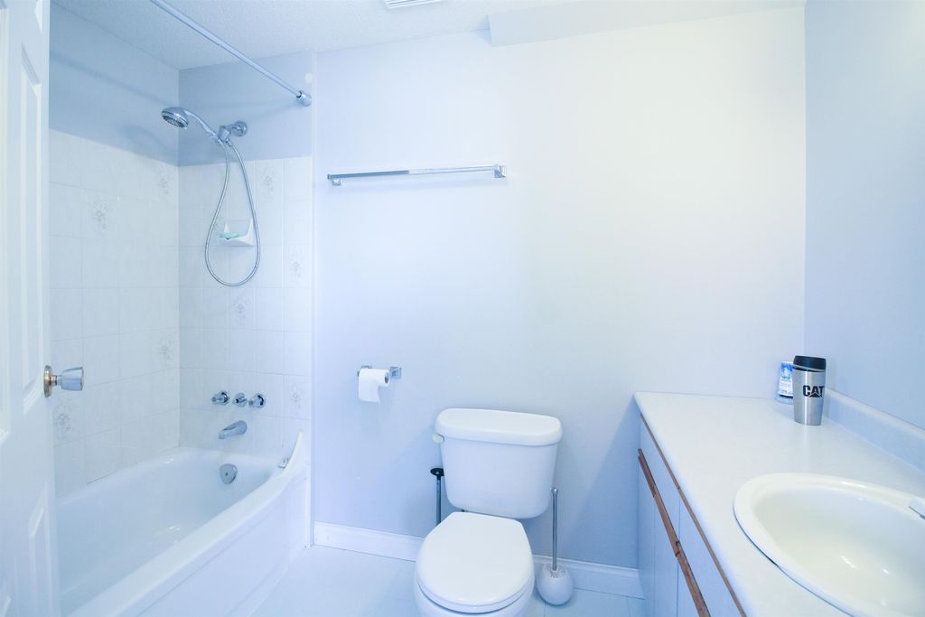 listing image 1100147849382194515