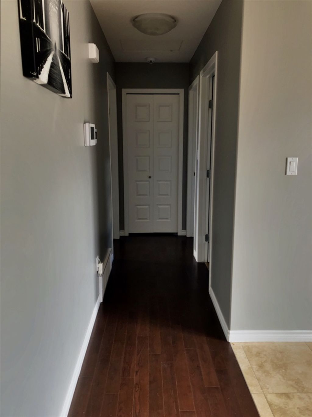 listing image 1102471658065230647