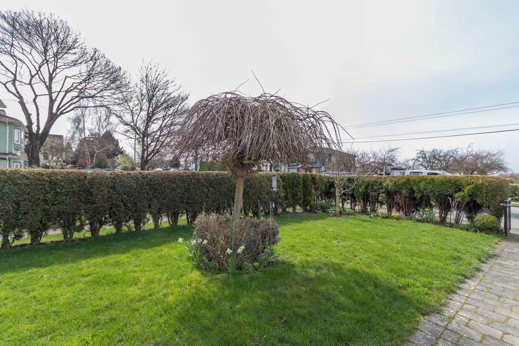 listing image 1100831511463133748