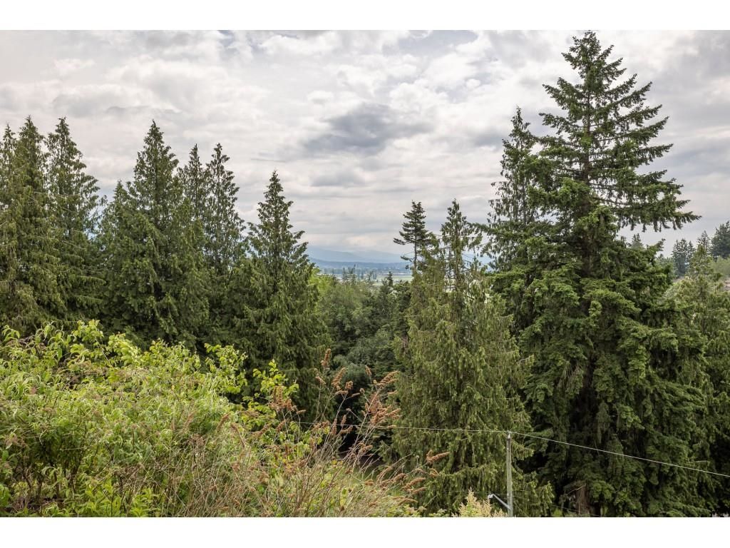 listing image 1105152998255008258