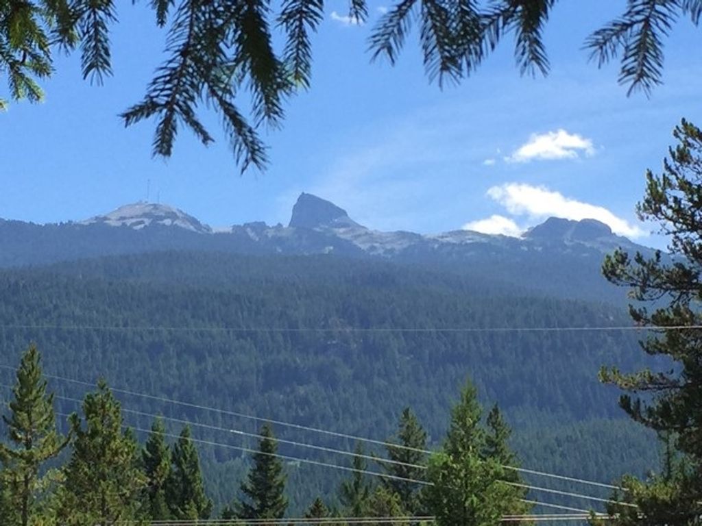 listing image 1102173886808818883