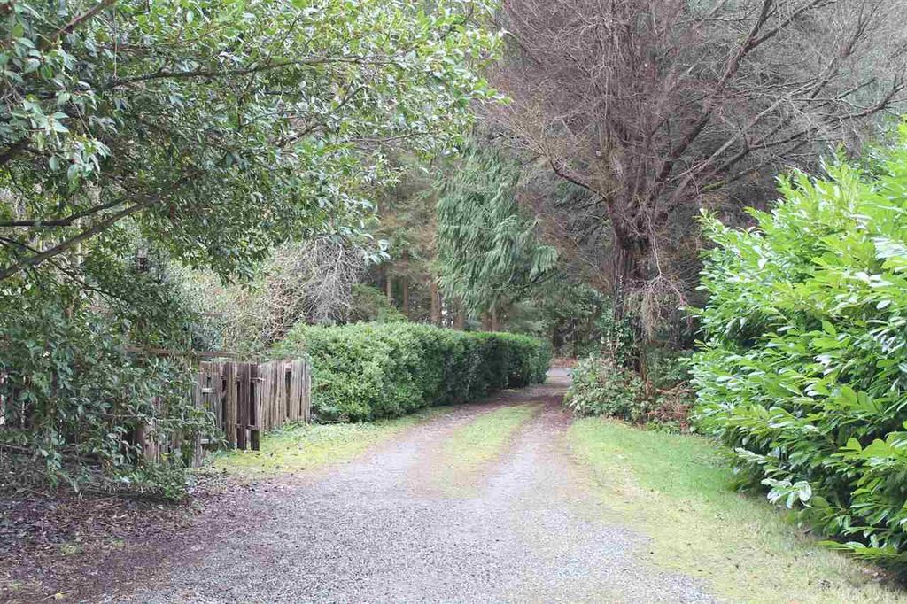 listing image 1100040275800130812