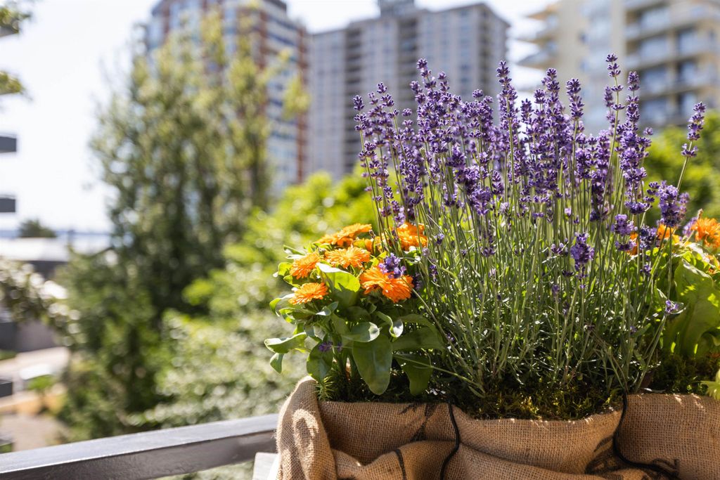 listing image 1101473744055914245