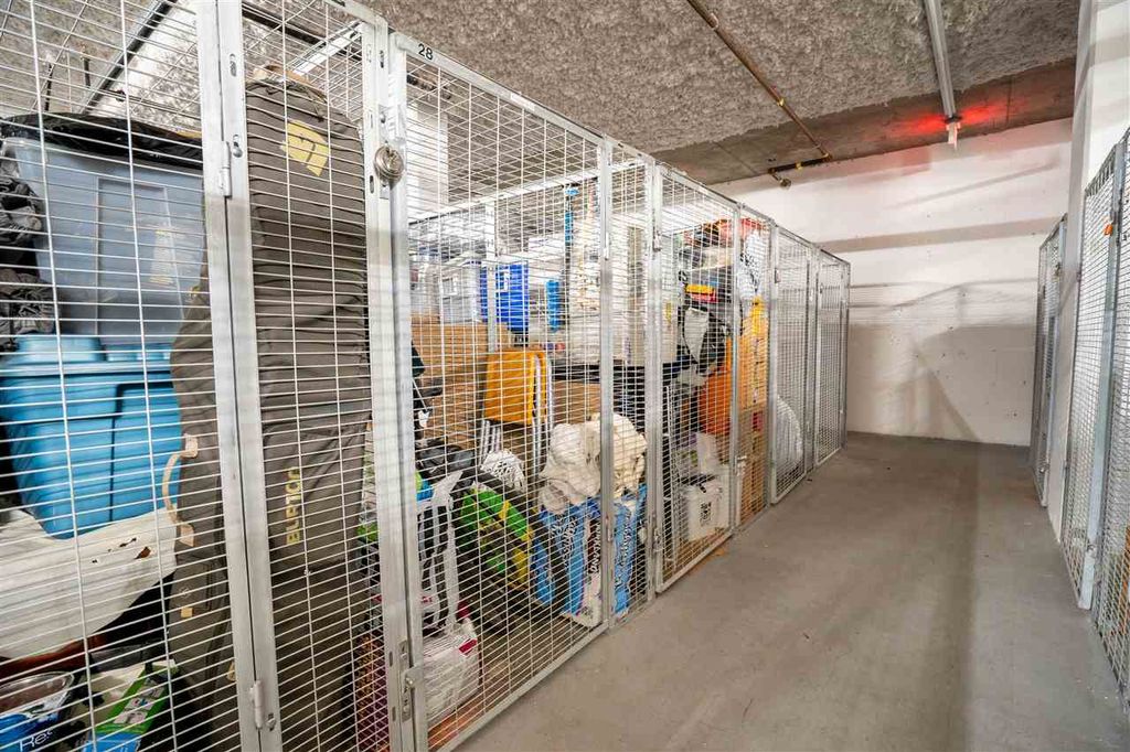 listing image 1102381620975332217