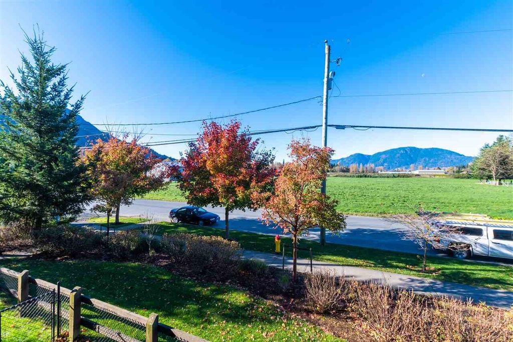 listing image 1105307181549233623