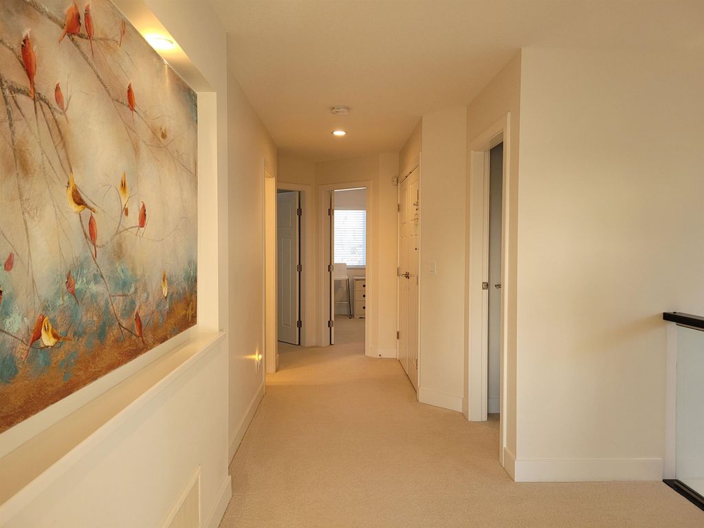 listing image 1103536320769663031