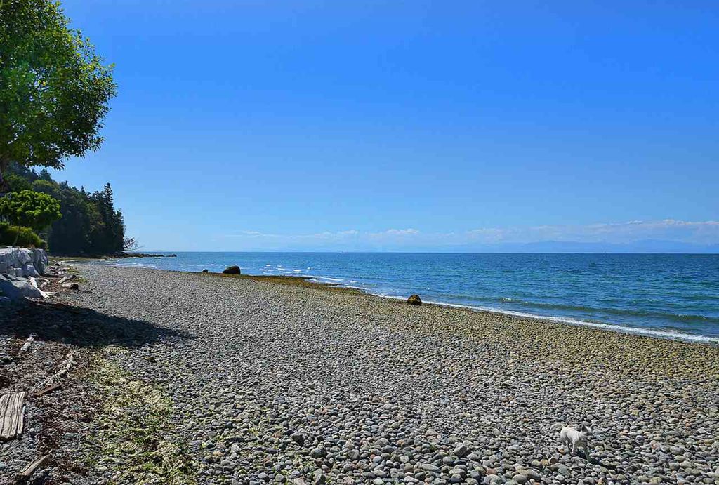 listing image 1102167749196177252