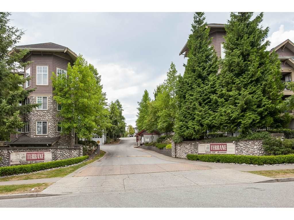 listing image 1104159278729619344