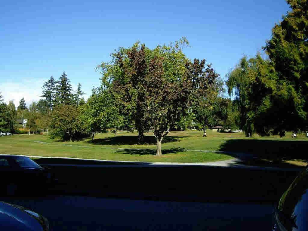 listing image 1107701152224169447