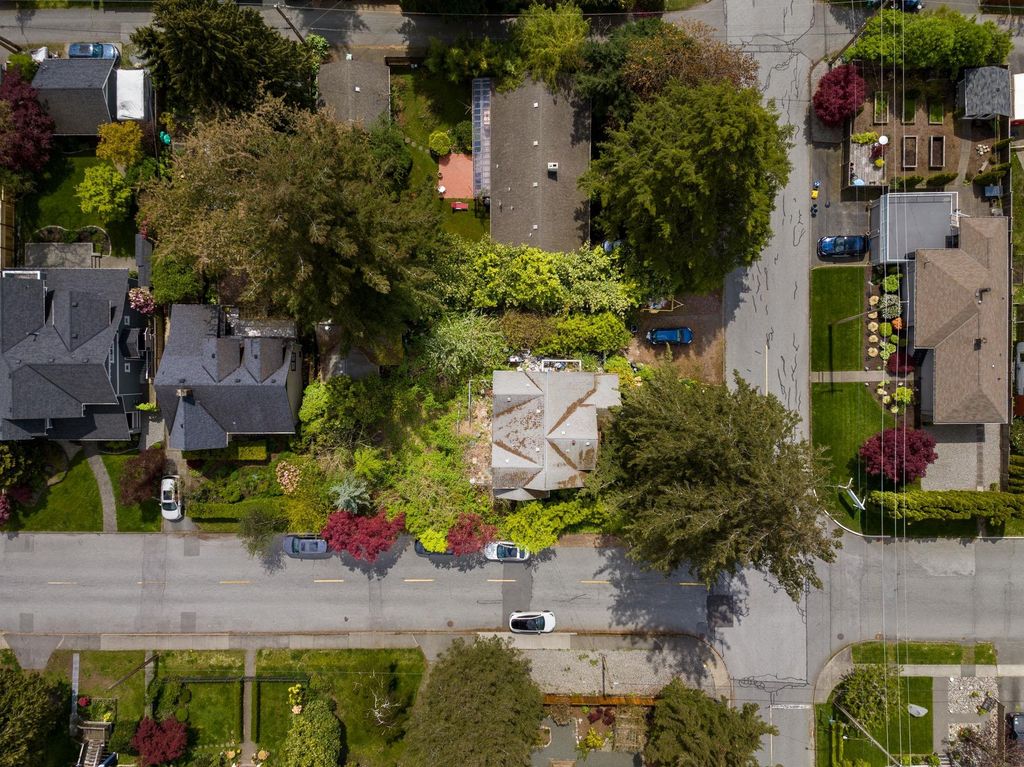 listing image 1101273470455838776