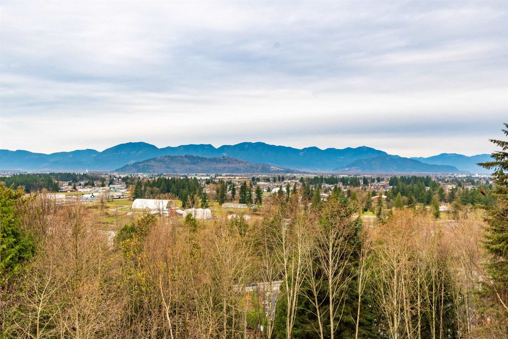 listing image 1106436169770402965