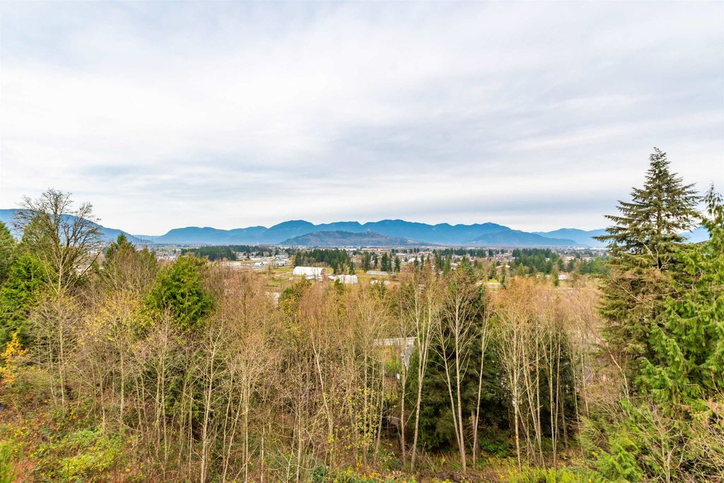 listing image 1104275174606518733