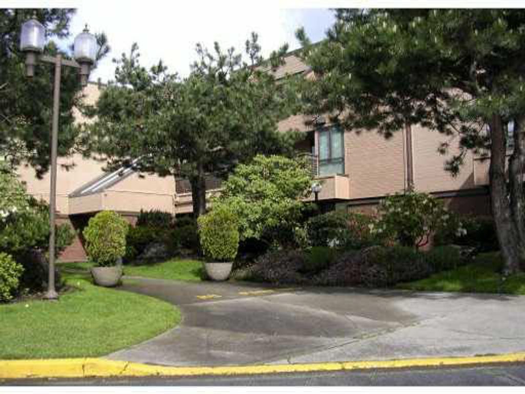 listing image 1101874246107032101
