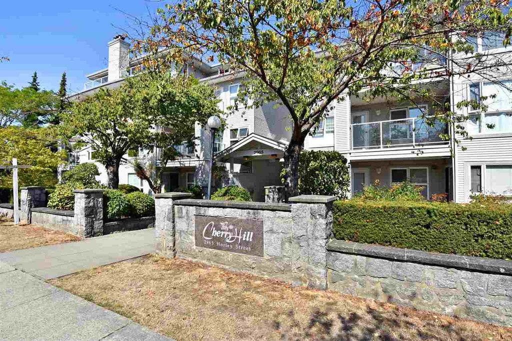 listing image 1102764814971656354