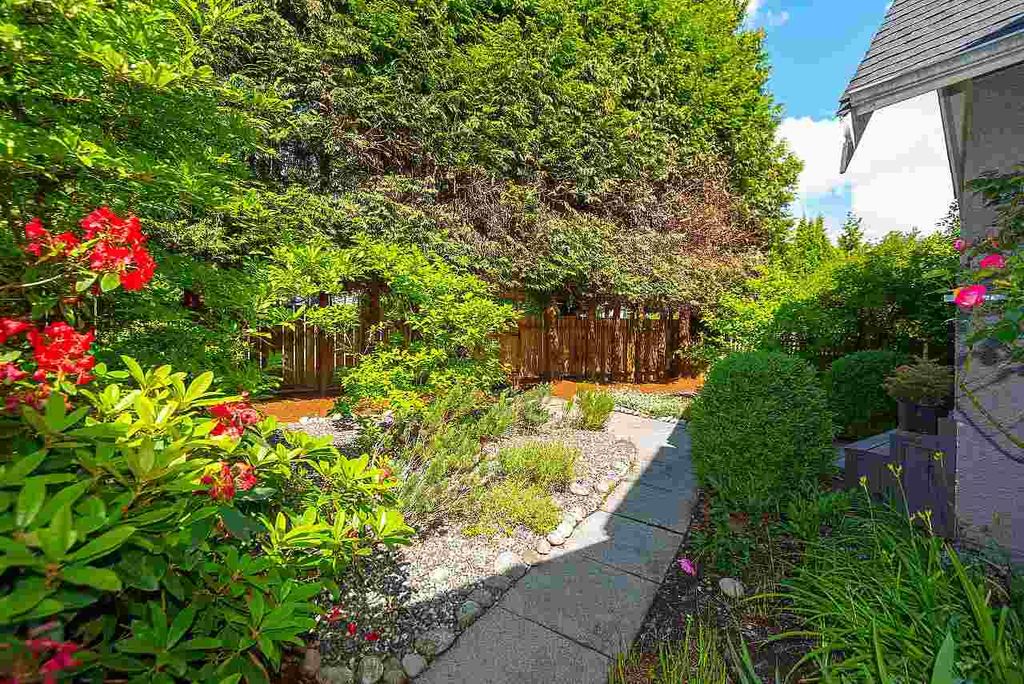 listing image 1104042361730845877