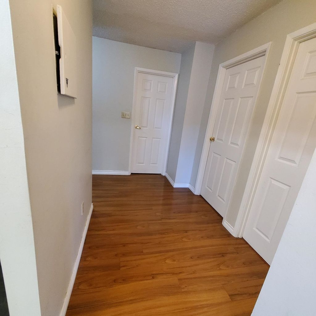 listing image 1106383944073928654