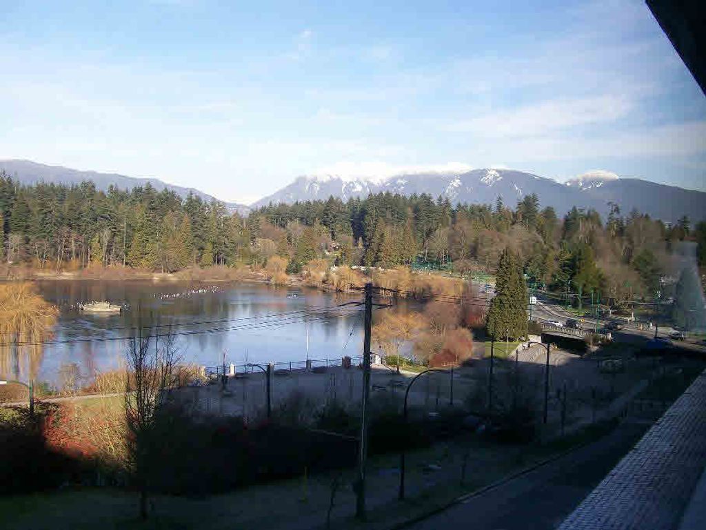 listing image 1105471097414609446