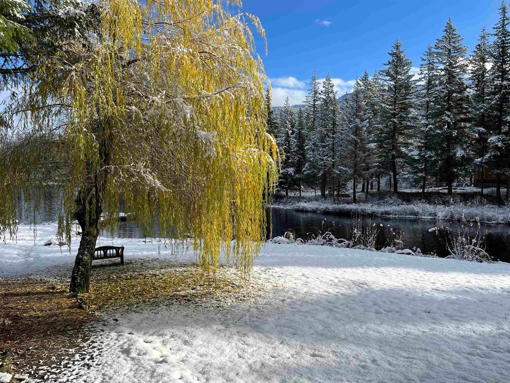 listing image 1101797286304224895
