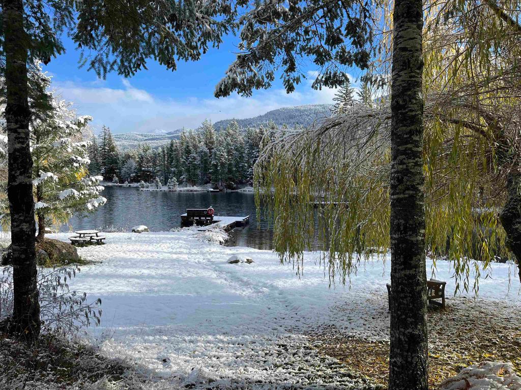 listing image 1108878525576977501