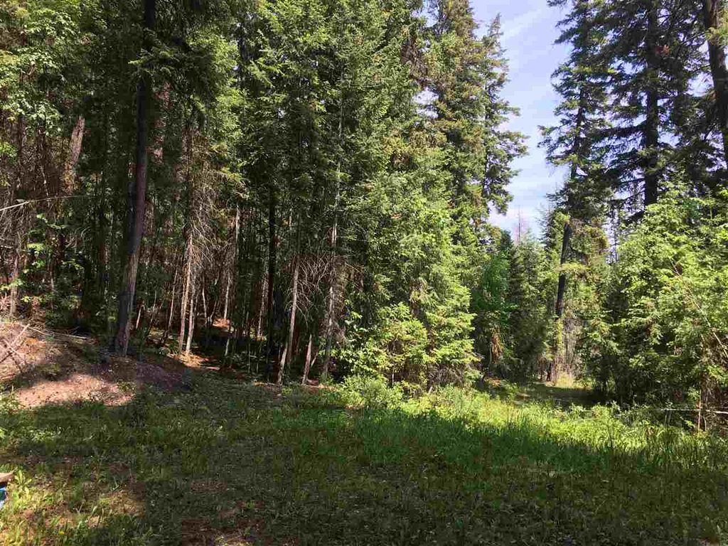 listing image 1106573691140715542