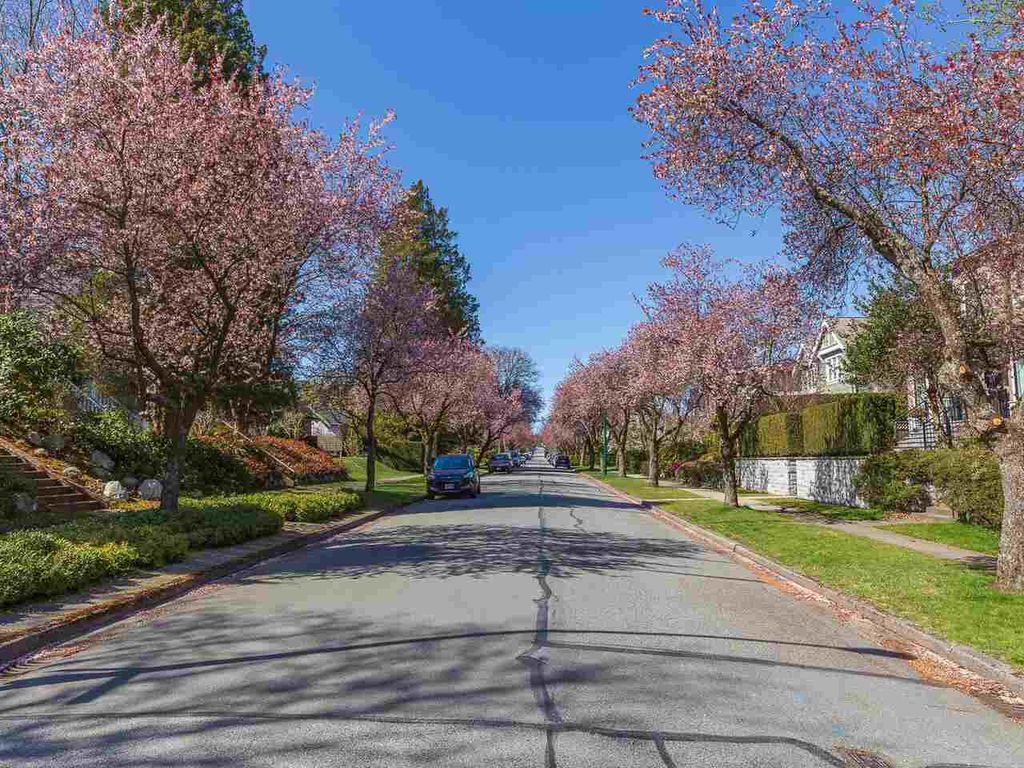 listing image 1107012213296812700