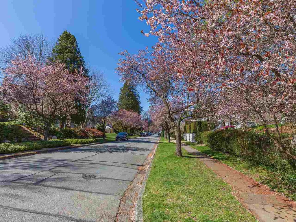 listing image 1104522603517403201