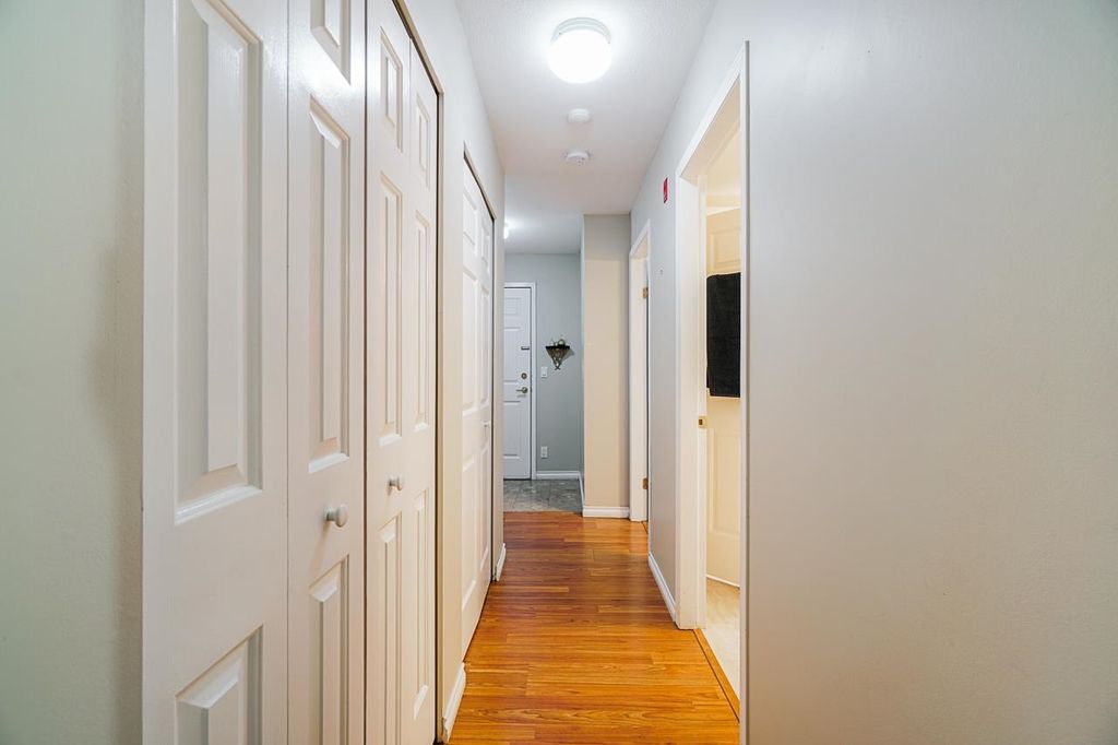 listing image 1105502791976493482