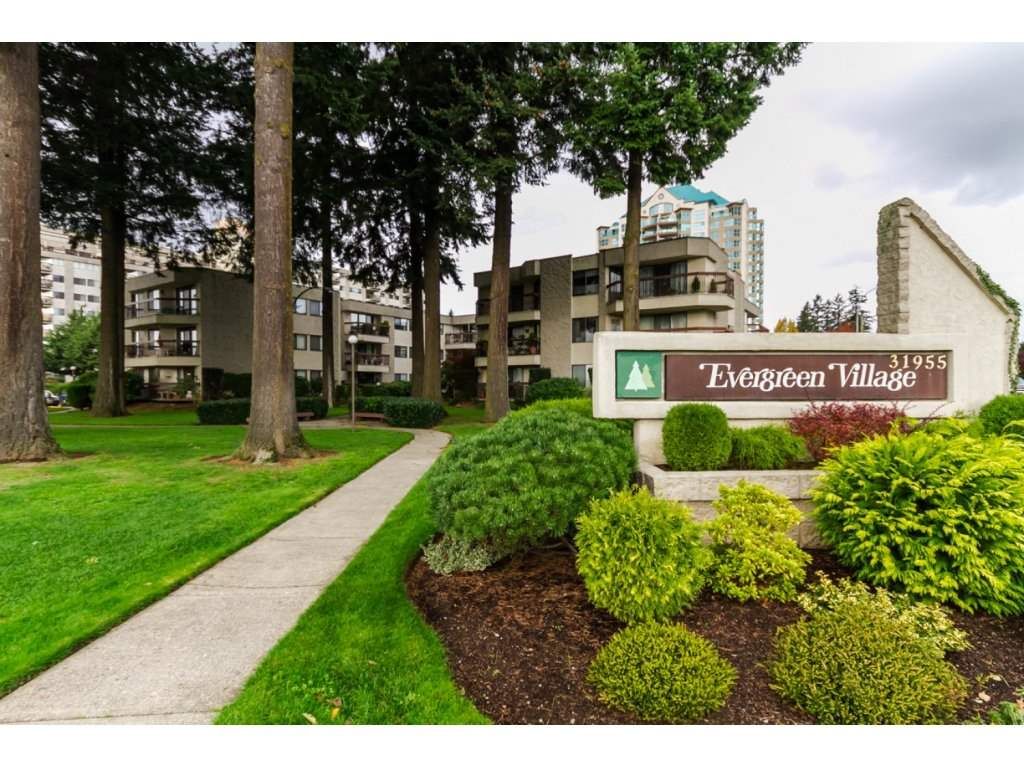 listing image 1105635135774236200