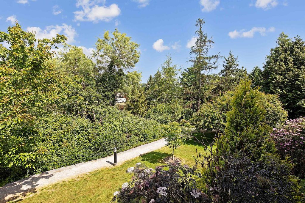 listing image 1104159893791540839