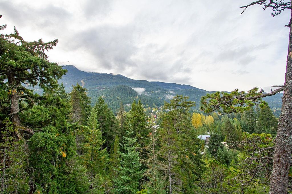 listing image 1106179233583502762