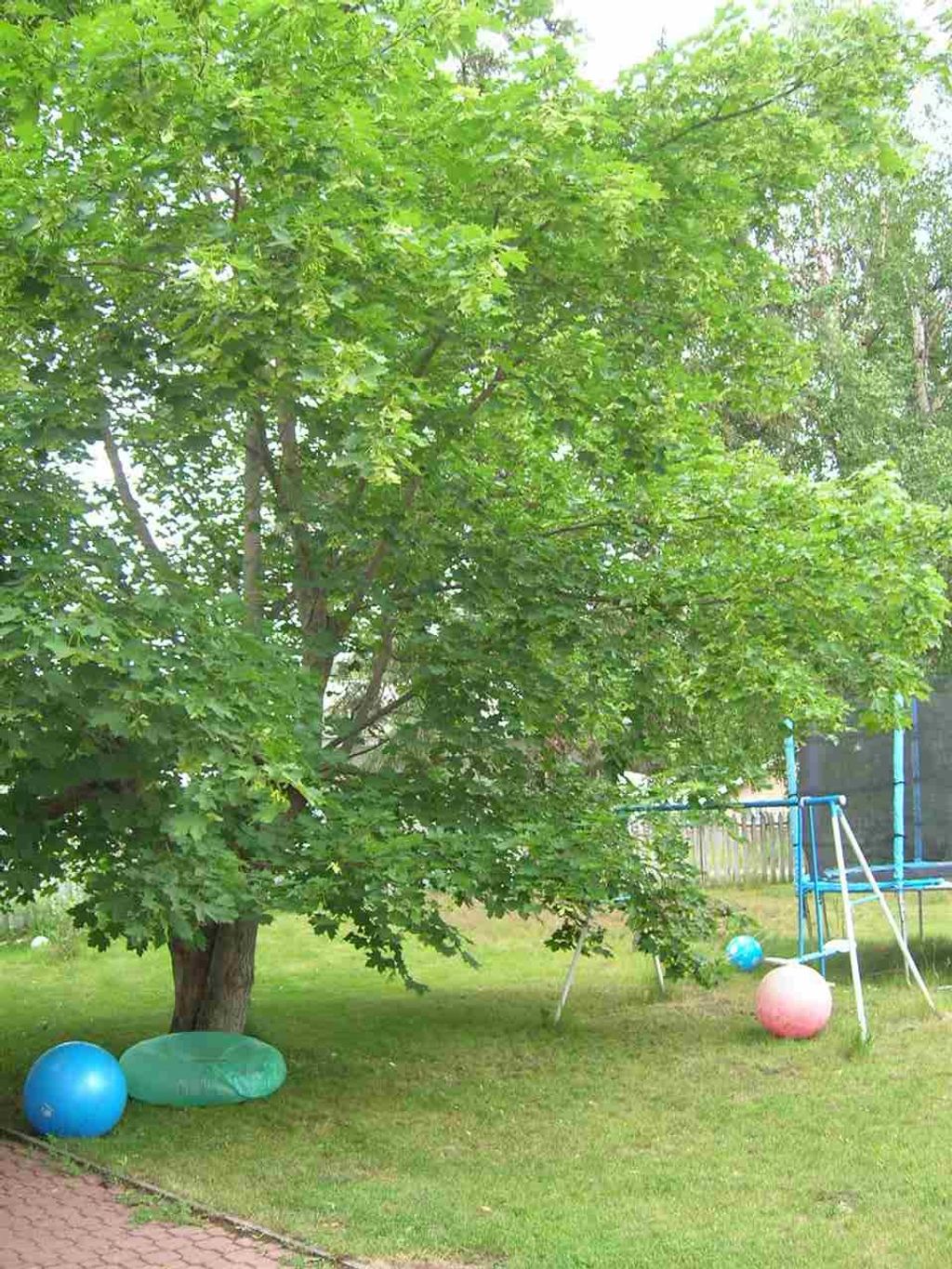 listing image 1100744925343460196
