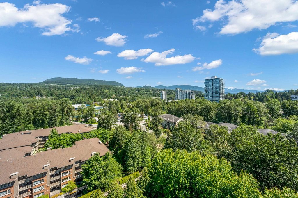 listing image 1107457660485302465