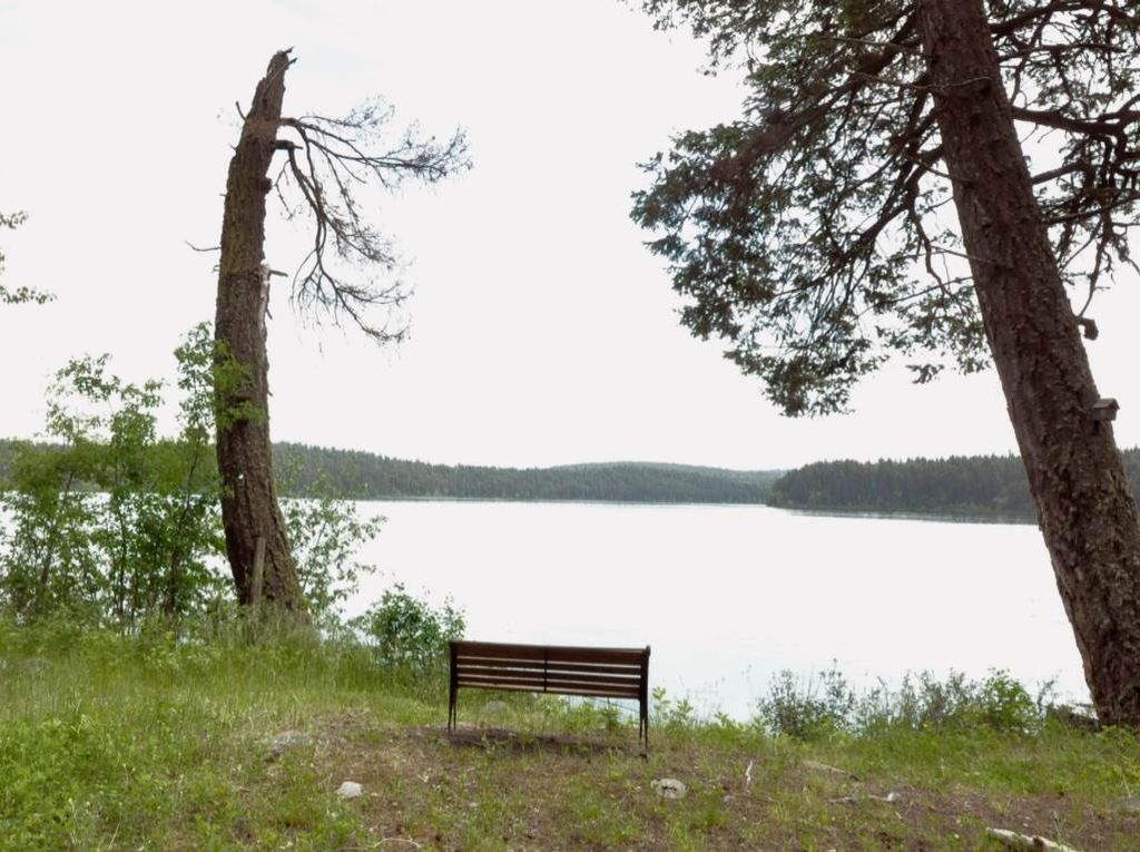 listing image 1104529784545509051