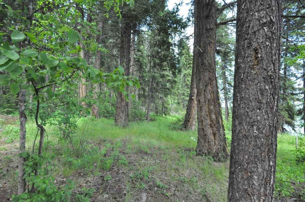 listing image 1101983383364321002