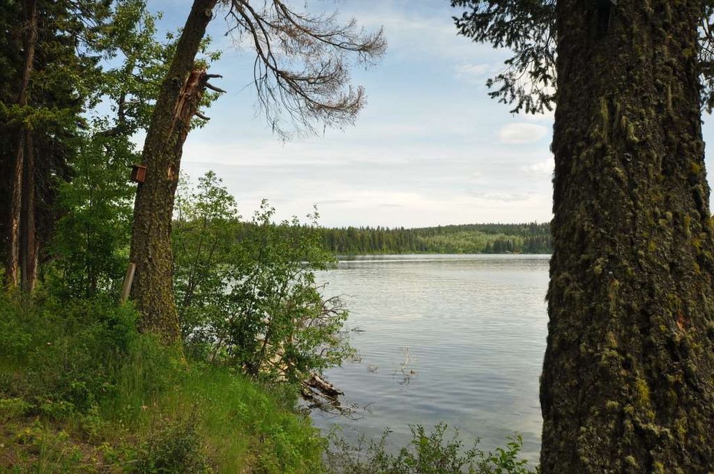 listing image 1106096979088517194