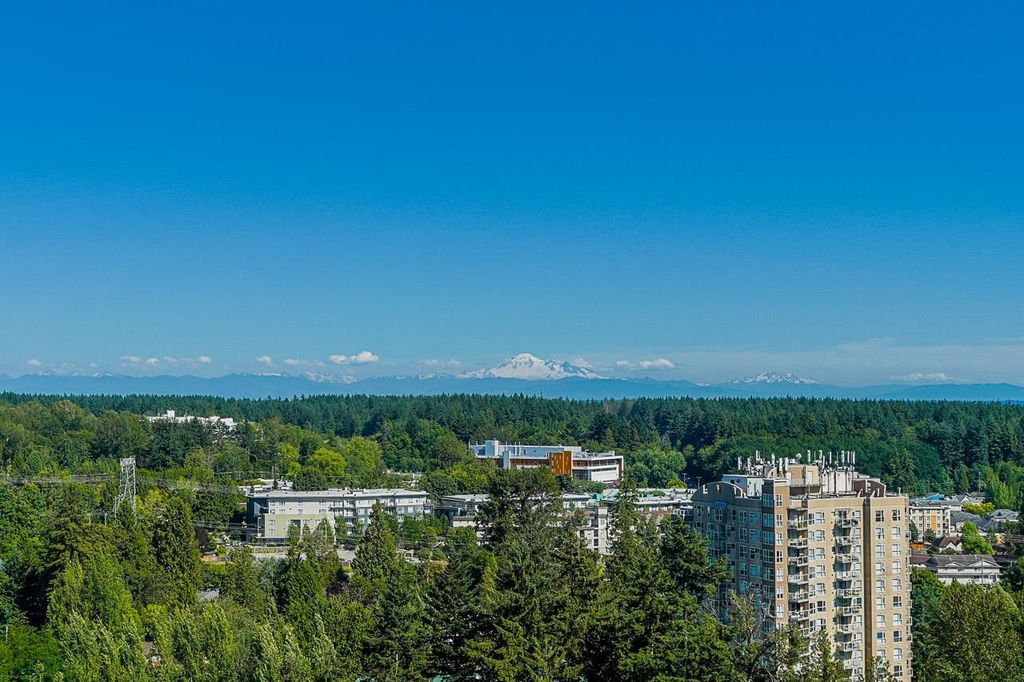 listing image 1108140543215561782