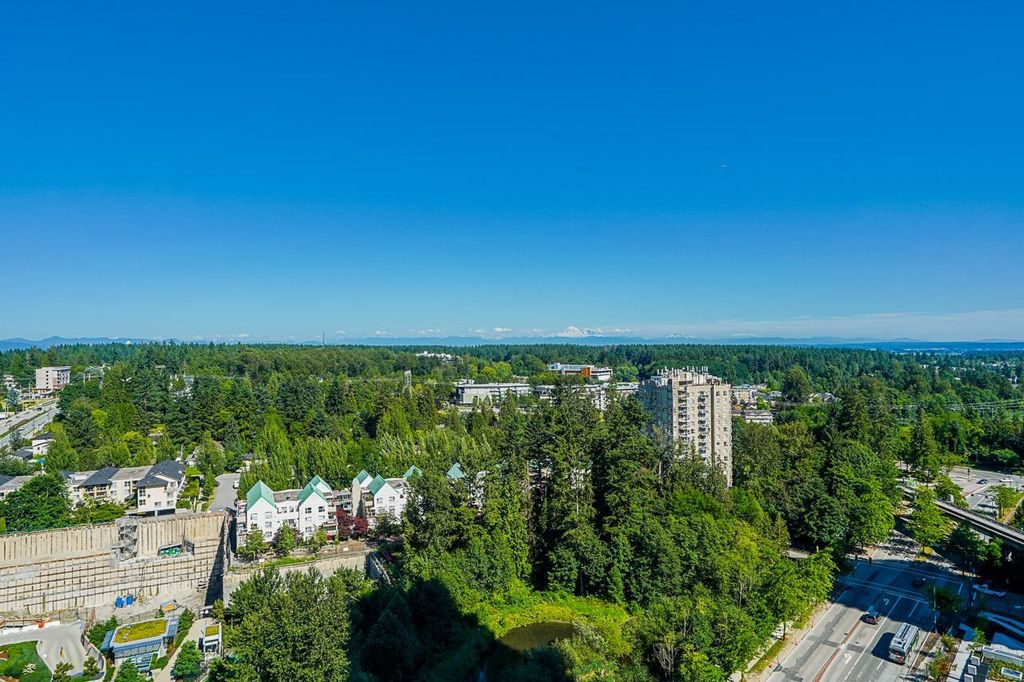 listing image 1100371362850073821