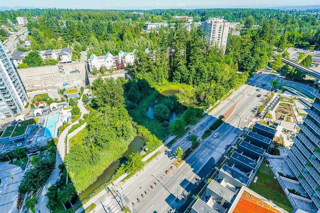 listing image 1102461078090635379