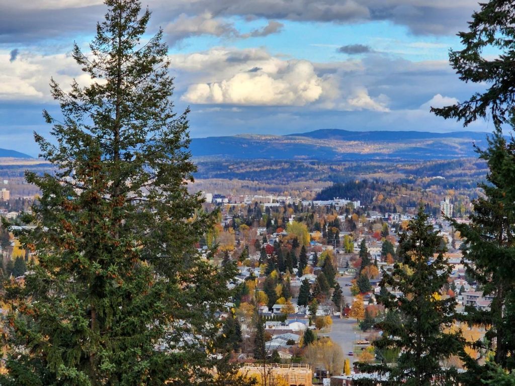 listing image 1108269989944203391