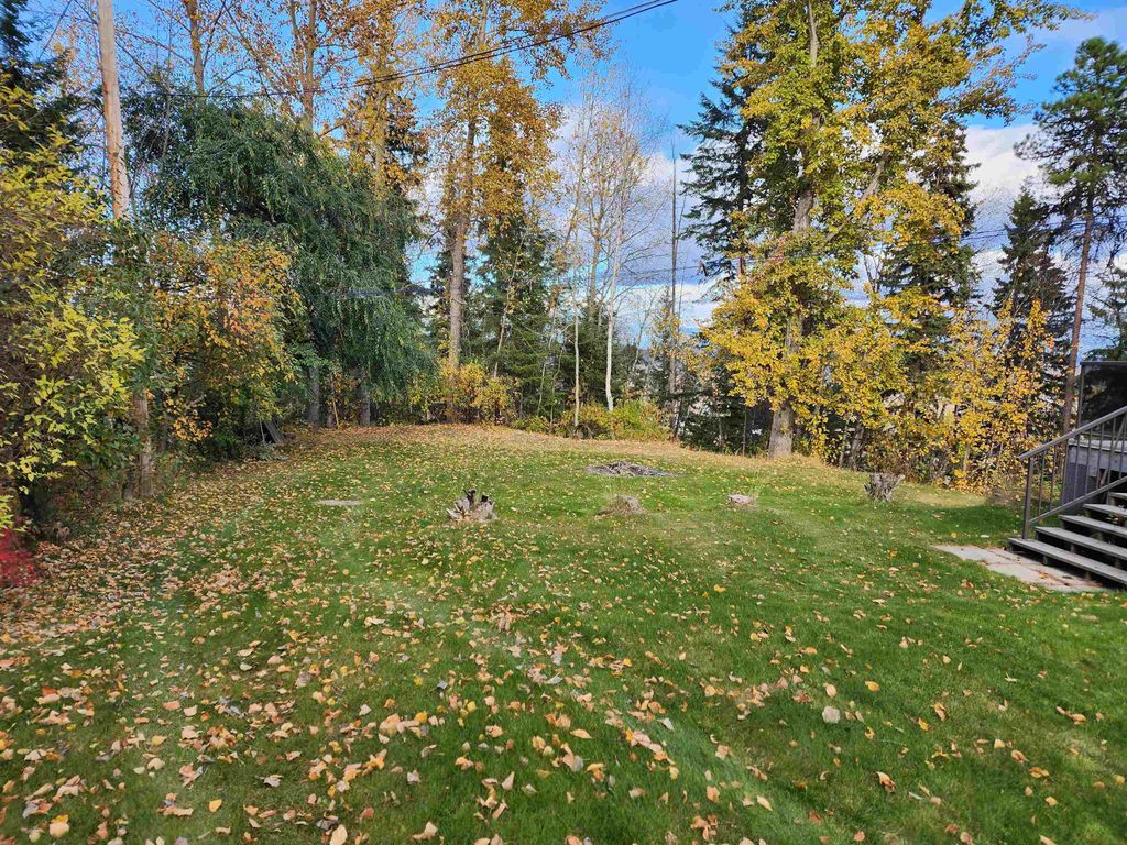 listing image 1100168125927782060