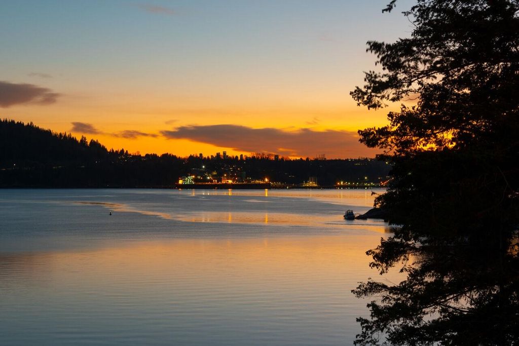 listing image 1103983728676718754