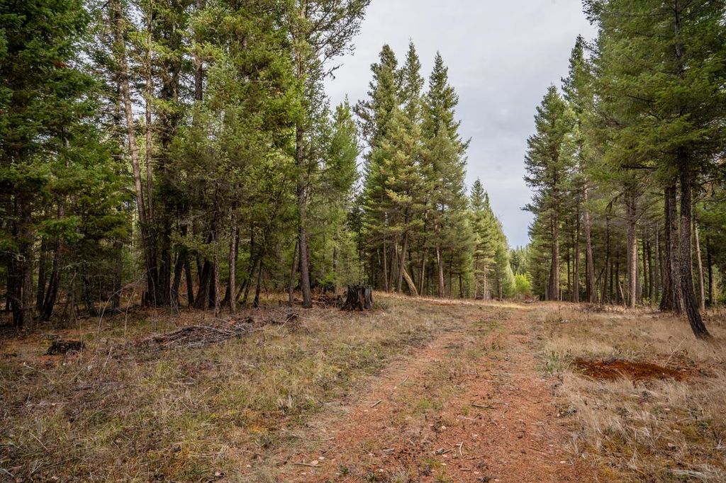 listing image 1108907344761819351