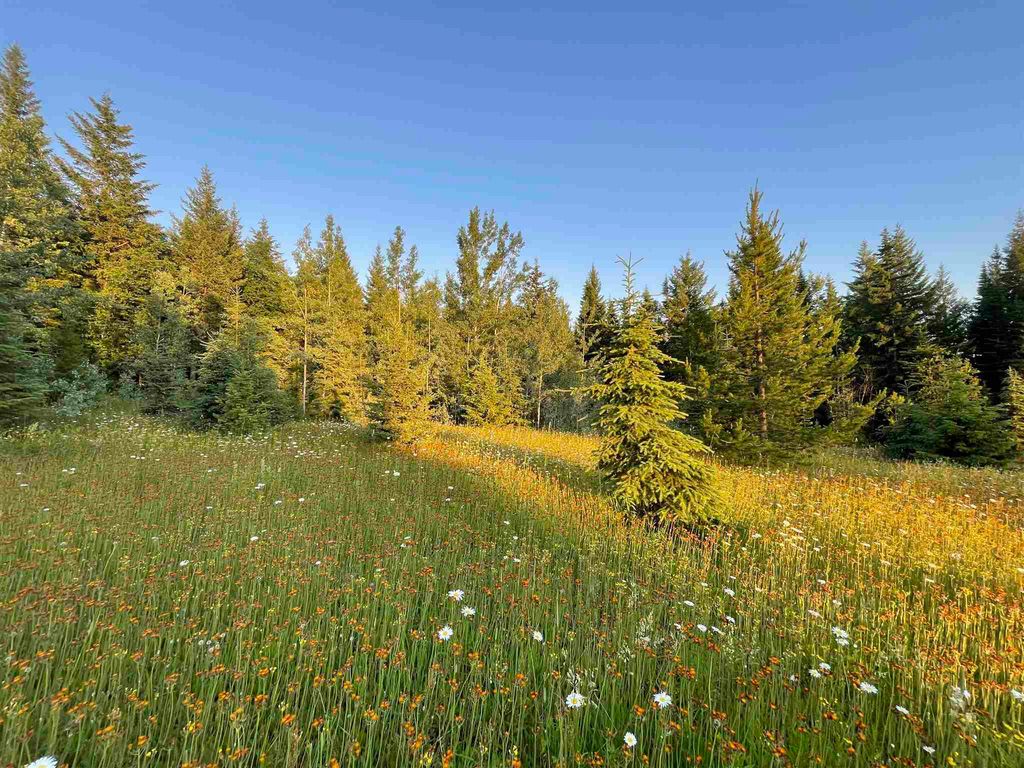 listing image 1105806508592981021