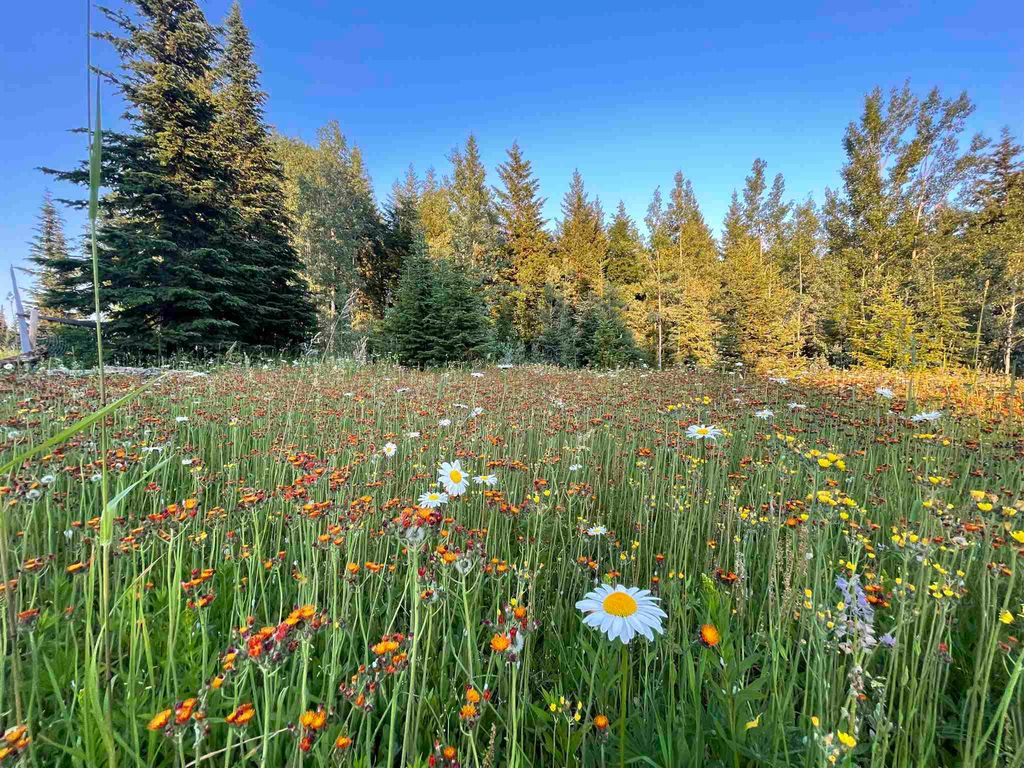 listing image 1103755709249487878