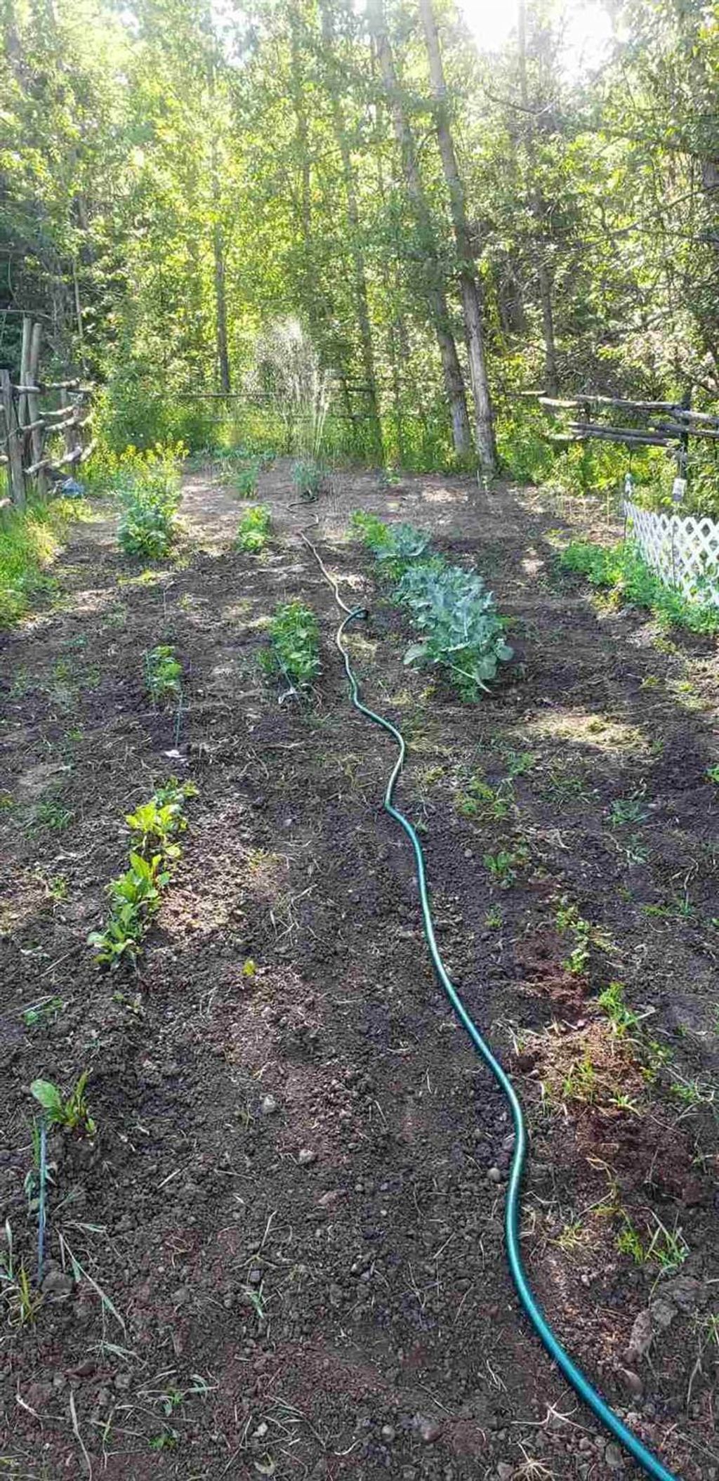 listing image 1101133614756345712