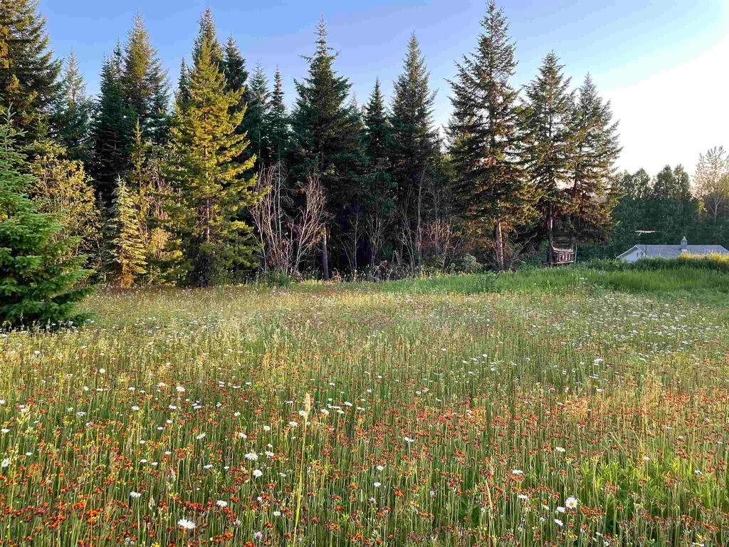 listing image 1101326574383878826