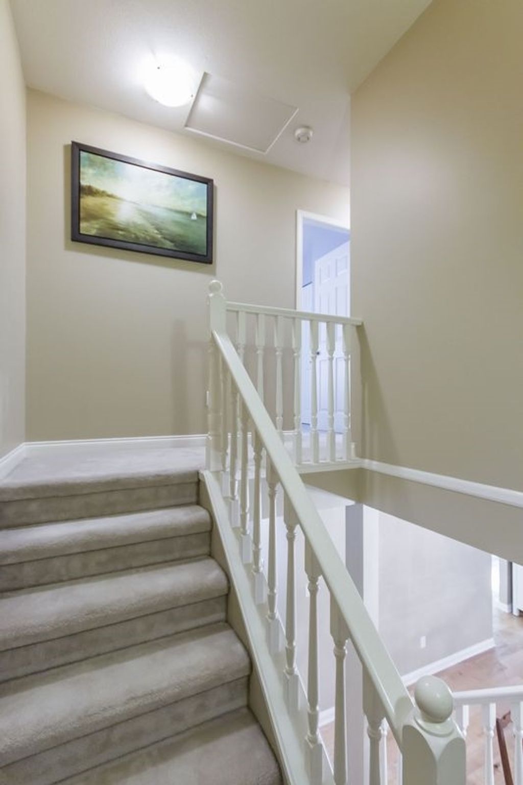 listing image 1100660158067178142